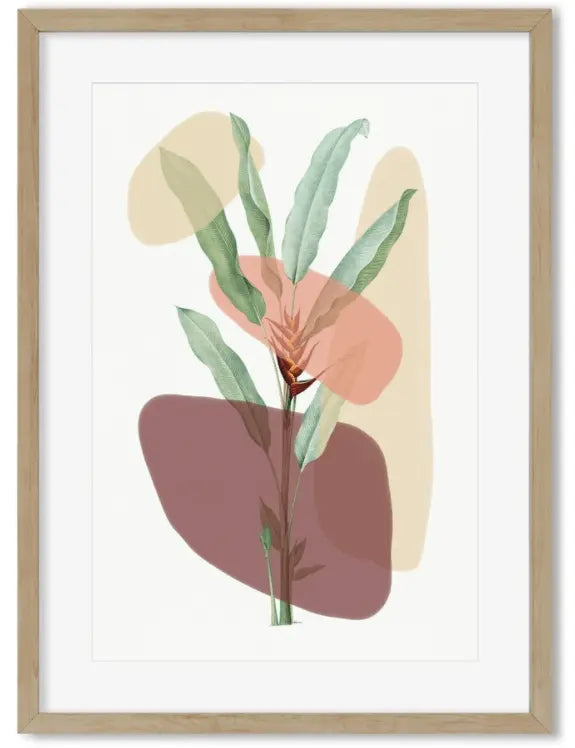 Botanical Illustration Modern Art Print, modern art print, Calla Collective, home decor trends, home decor near me, art, artwork, art print, prints, modern print, modern art, floral art, floral art print, botanical print, botanical art